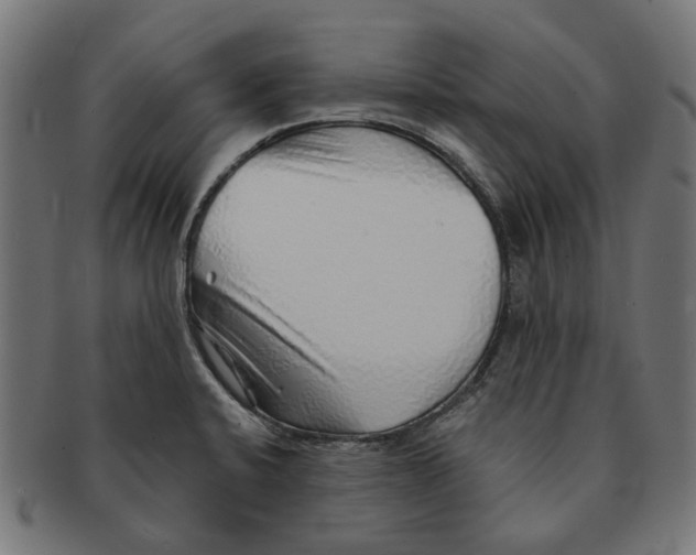 X0000091231424200709061510