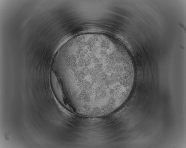 X0000091231425200709061510