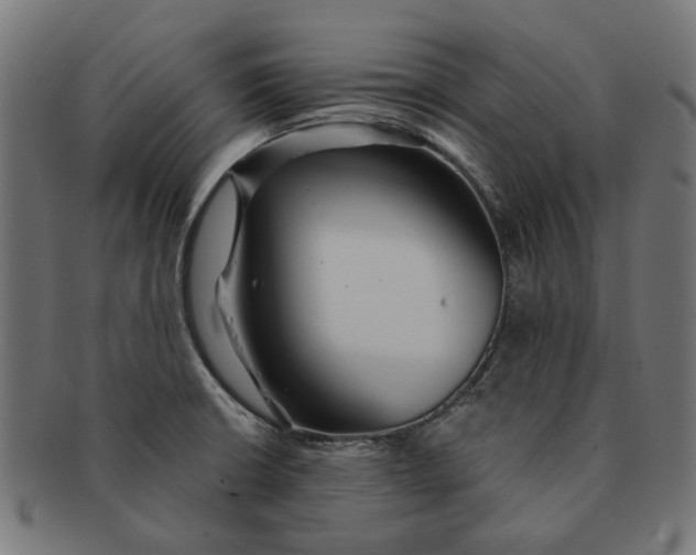 X0000091231426200709061510