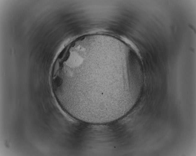 X0000091231429200709061510