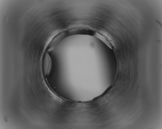 X0000091231430200709061510