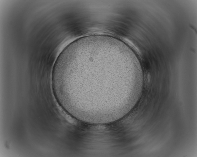 X0000091231431200709061510