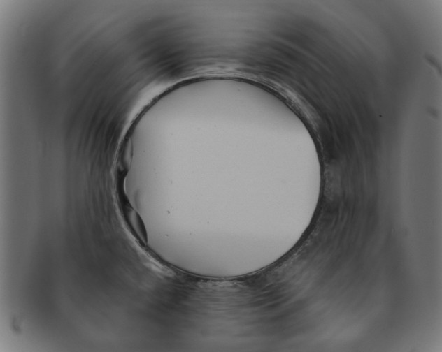 X0000091231432200709061510