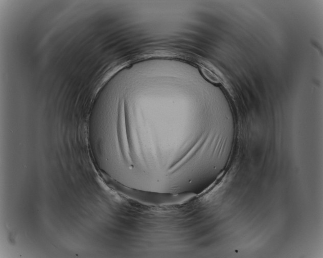 X0000091231433200709061510