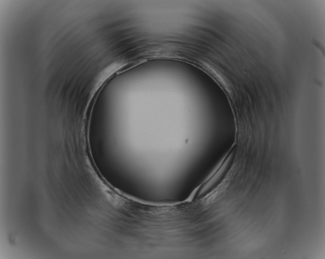 X0000091231434200709061510