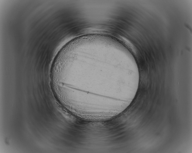 X0000091231435200709061510