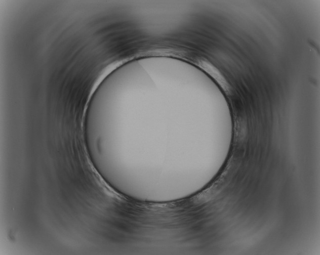 X0000091231436200709061510
