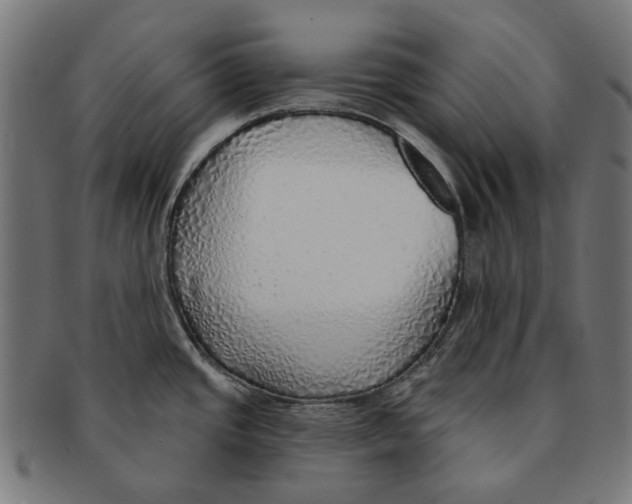 X0000091231437200709061510