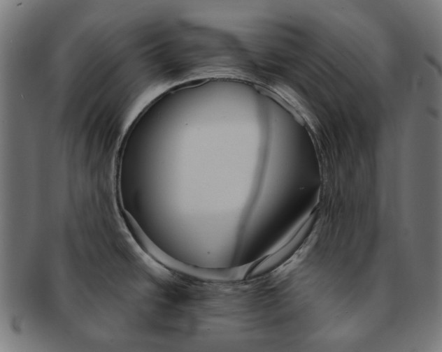 X0000091231438200709061510
