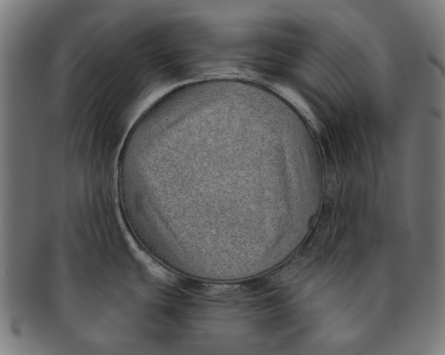 X0000091231439200709061510