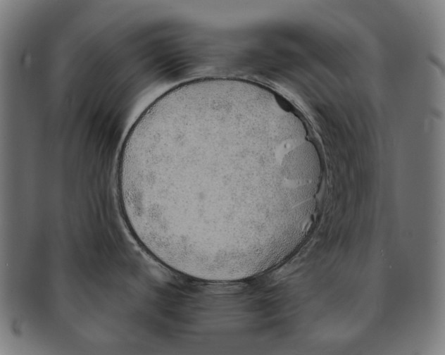 X0000091231440200709061510