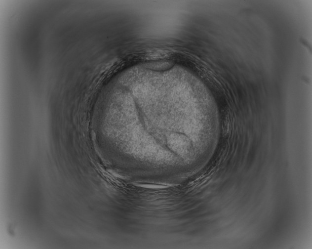 X0000091231441200709061510
