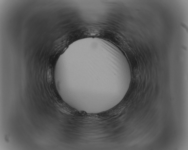 X0000091231442200709061510