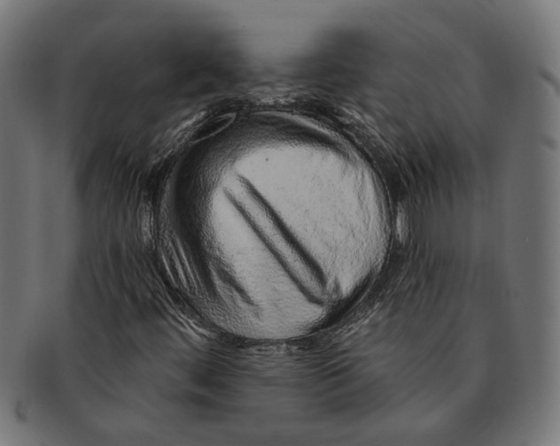 X0000091231444200709061510