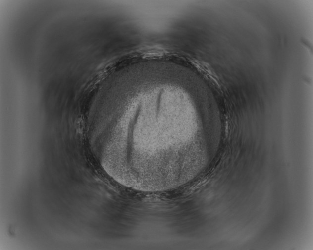 X0000091231445200709061510
