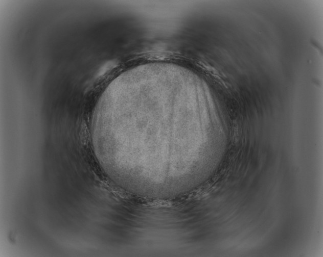 X0000091231446200709061509