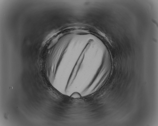 X0000091231448200709061509