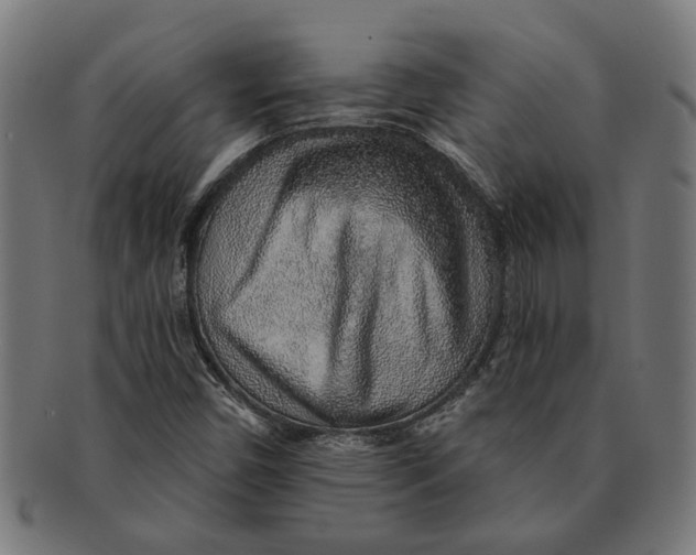 X0000091231450200709061509