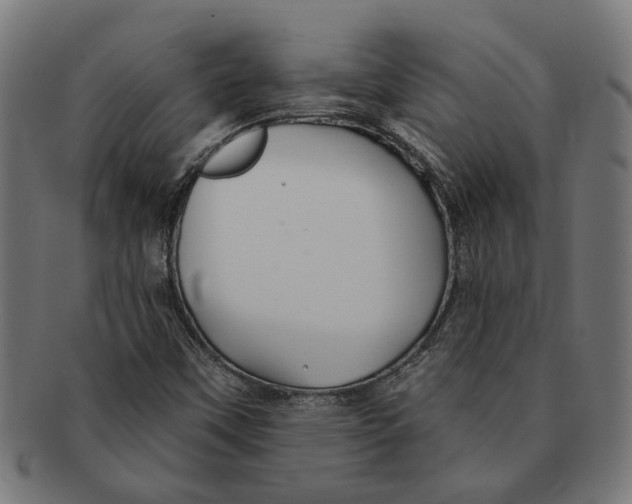X0000091231451200709061509