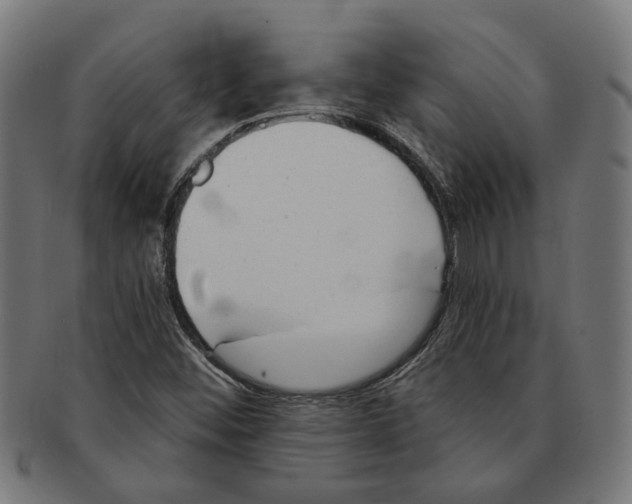 X0000091231452200709061509