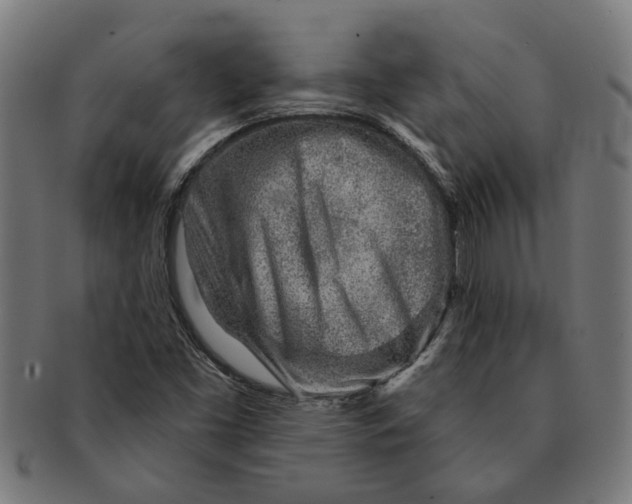 X0000091231453200709061509