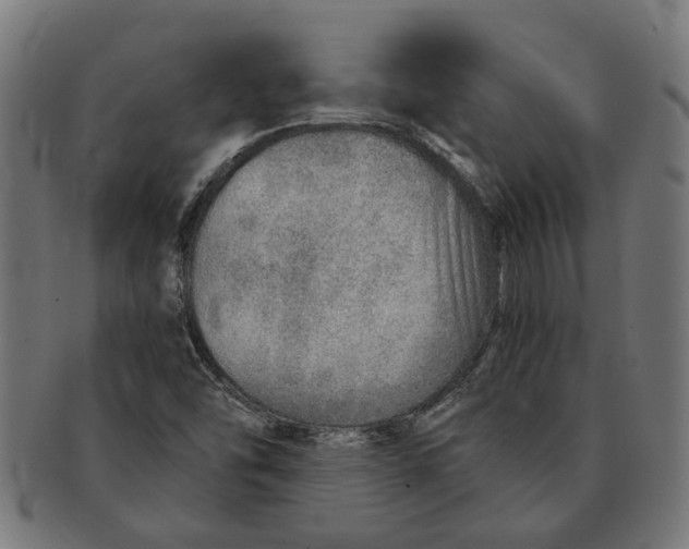 X0000091231454200709061509