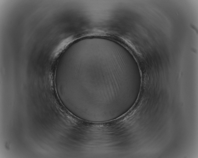 X0000091231455200709061509