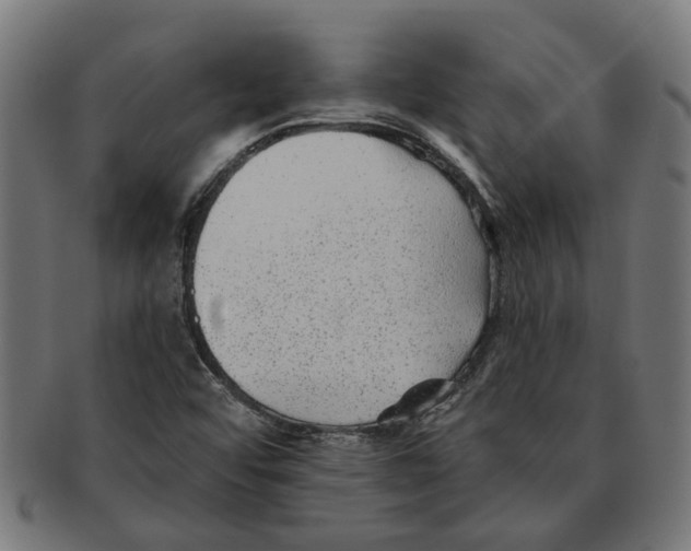 X0000091231456200709061509