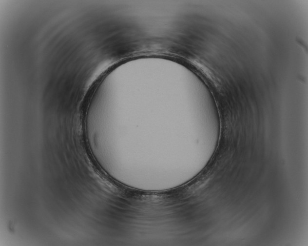 X0000091231458200709061509