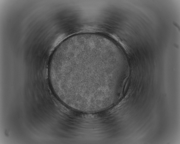 X0000091231459200709061509