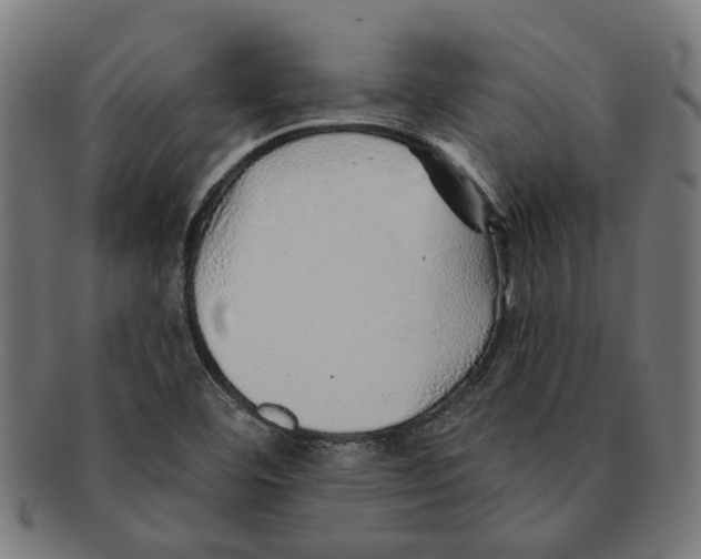 X0000091231460200709061509