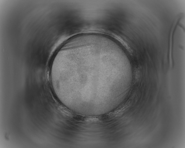 X0000091231462200709061509