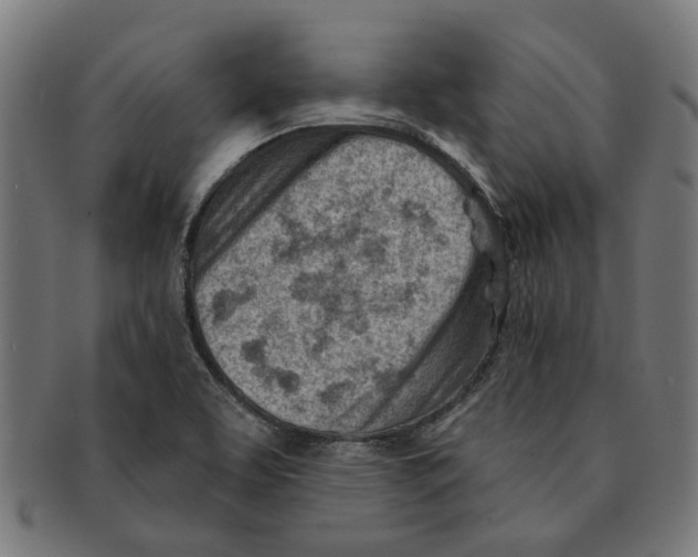 X0000091231463200709061509