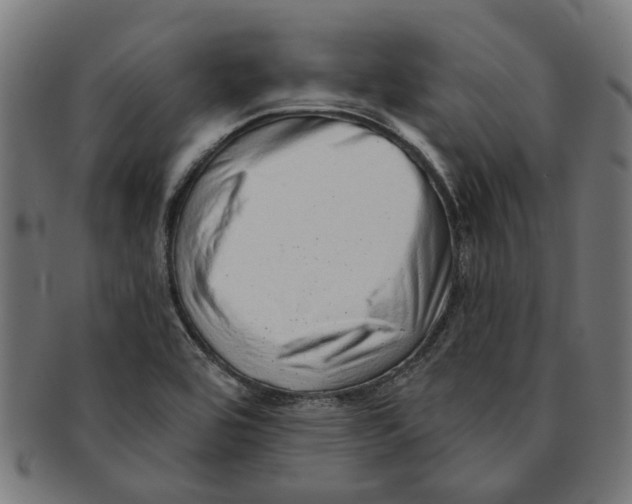 X0000091231464200709061509