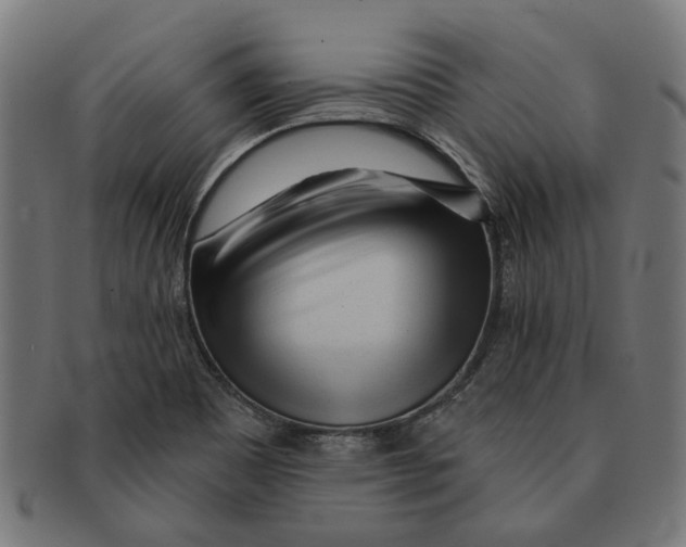 X0000091231465200709061509
