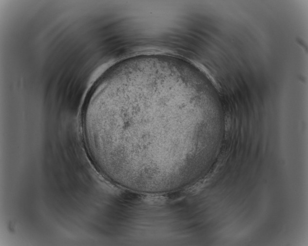 X0000091231466200709061509