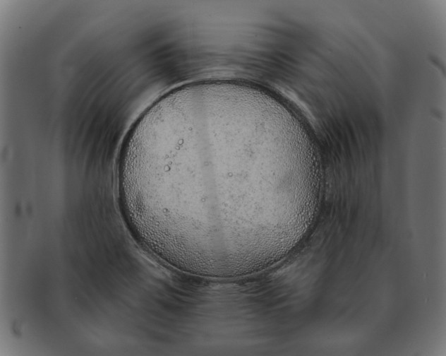 X0000091231467200709061509