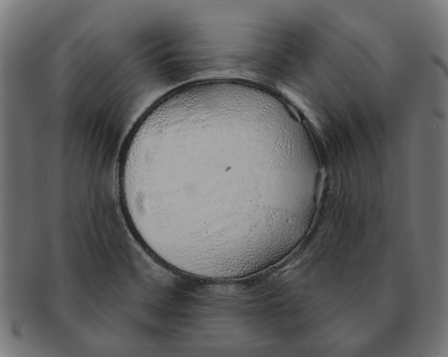 X0000091231468200709061509