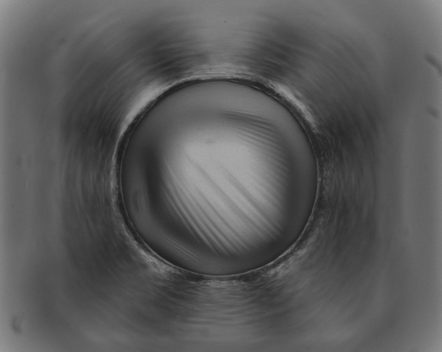 X0000091231469200709061509