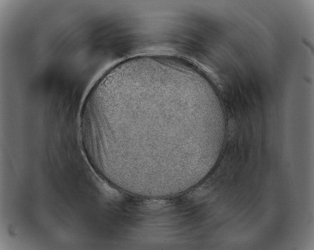 X0000091231470200709061509