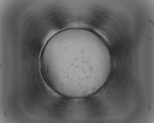 X0000091231471200709061509