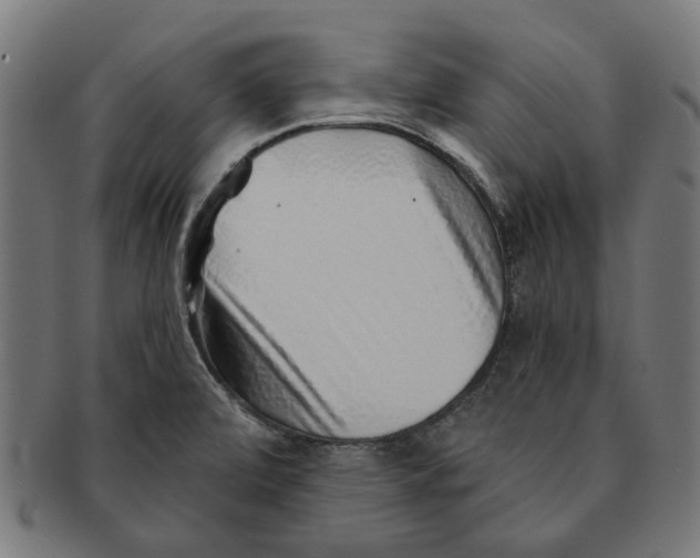 X0000091231472200709061509
