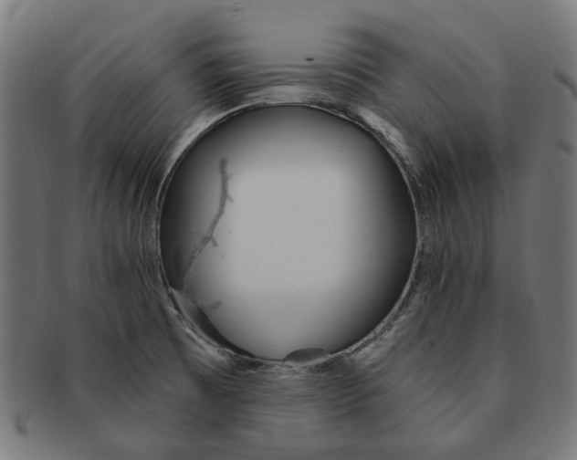 X0000091231473200709061509