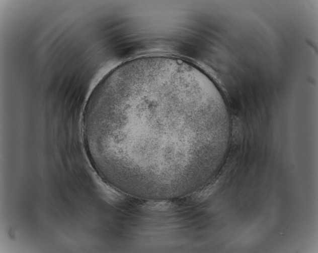 X0000091231474200709061509