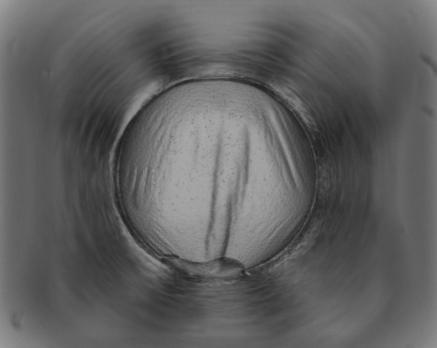 X0000091231475200709061509