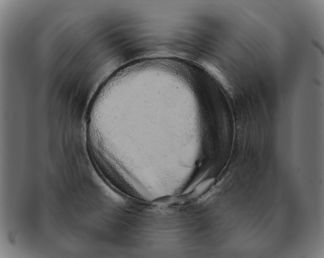 X0000091231476200709061509