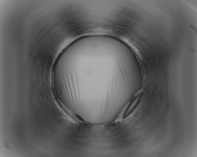 X0000091231477200709061509