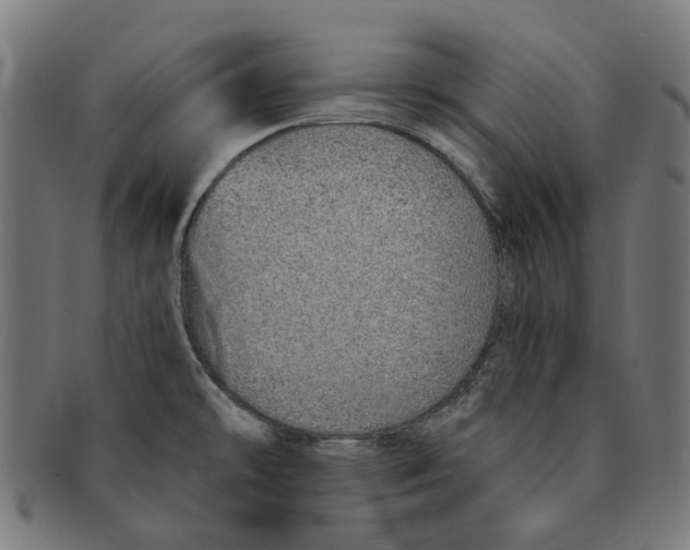 X0000091231478200709061509
