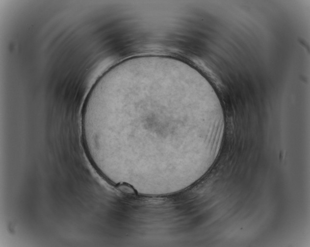 X0000091231479200709061509