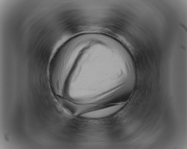 X0000091231480200709061509